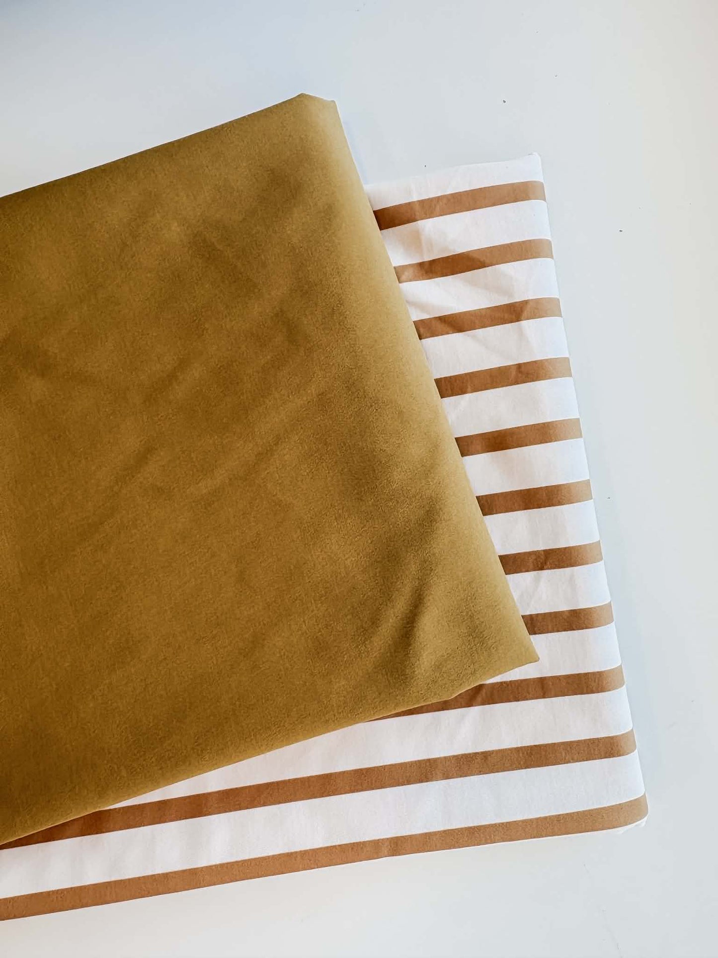 Golden Stripe Swim