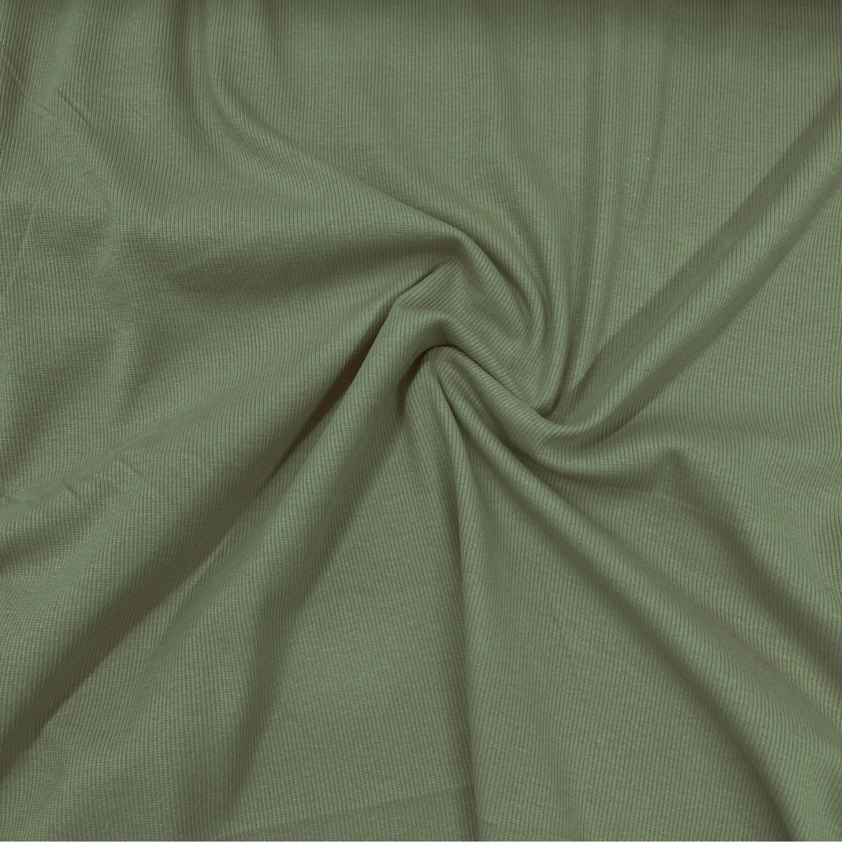 Organic Cotton Spandex Rib - Olive